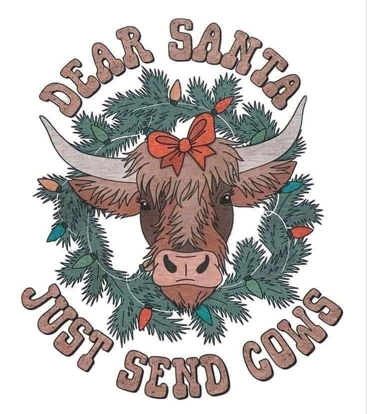 Random shirt sale •Western Christmas•