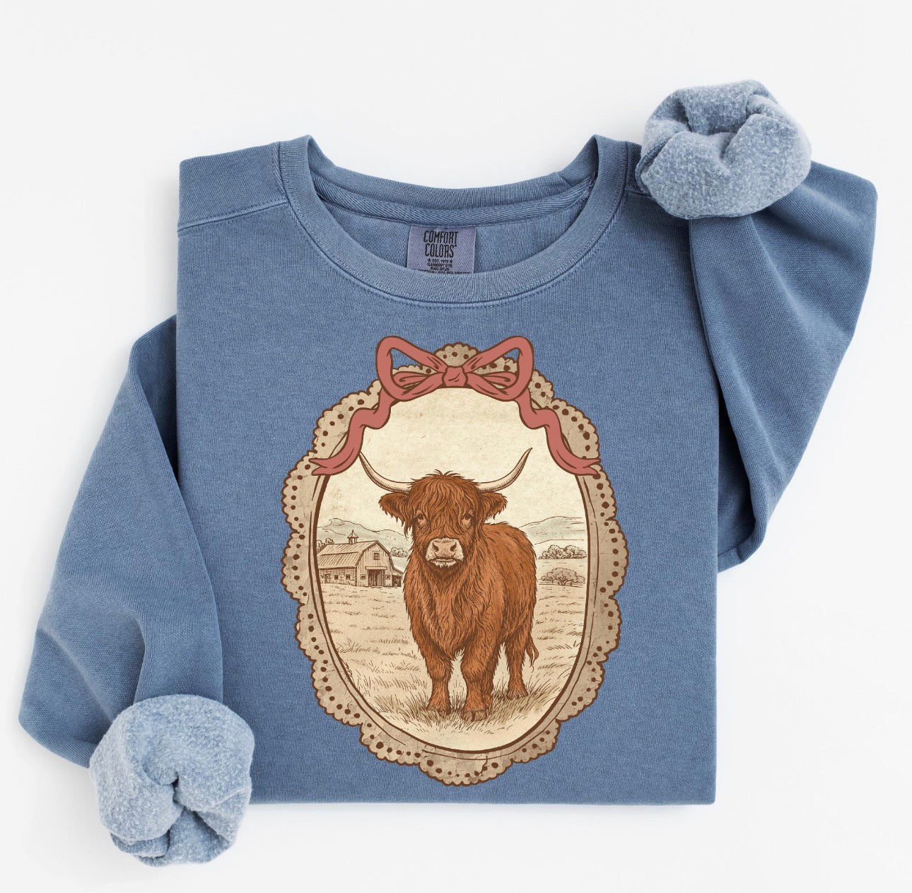 thrifting coquette sweatshirts