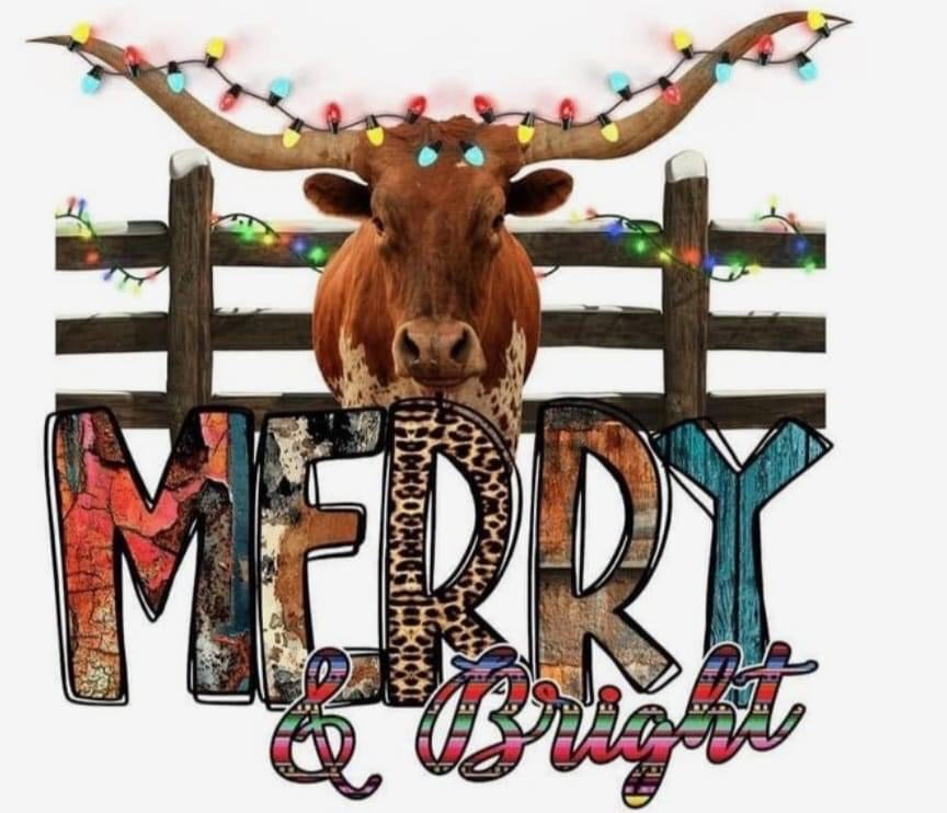 Random shirt sale •Western Christmas•